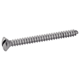 Reference 62404 - Slotted countersunk Raised head tapping screw form C DIN 7973 - Stainless steel A2