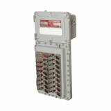 Appleton™ D2P and EWP Factory Sealed Circuit Breaker Panelboards - Enclosures & Controls