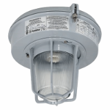 Appleton™ Mercmaster™ III Low Profile Luminaires - Lighting