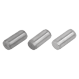 B0529 - Zylinderstifte ISO 2338