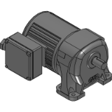 Standard gearmotor 1/8 - 1/2 HP