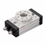 RS-Rotary actuator
