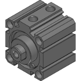 SSD2-G1-Double acting/single rod/coil scraper