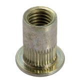 Reference 19772 - Rivkle® blind nut with cylindrical shaft and  flat head - Passivated zinc plated 400 HSST