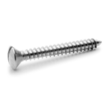 V.2T73 - Self tapping screws SLOTTED RAISED CSK HEAD SELF TAPPING SCREWS DIN 7973 Inox A2 / S.S 304
