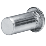 Blind rivet nuts and screws GO-NUT knurled round shank
