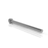 2300 - Ejector pins with cylindrical head, clear nitrided