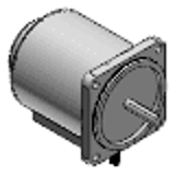 Variable speed induction motor