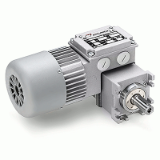MCE - Asynchronous worm gearmotor with planetary reduction stage