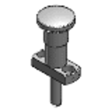 PPLX - Indexing Plunger for precision locating