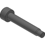 SDBS - Stainless steel Hex Socket Bolt with Dog Point