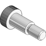 EVR-1 Cylindrical head screws with rectified pipe and threaded tail with inserted hexagon