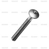RAMPA®-Mushroomhead screws type KT