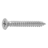 20000001 - Steel(+) Counter sunk Tapping Screw(1-A)