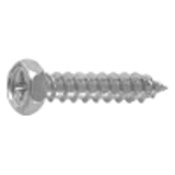 2000000A - Steel(+) Upset Tapping Screw(1-A)