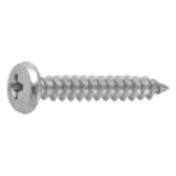 20020004 - Stainless(+) Bind Tapping Screw(1-A)