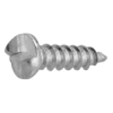 70022010 - SUS One-side Round head Tapping Screw(4, AB)