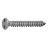 70022021 - SUS Counter sunk Tapping Screw(4, AB)