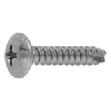 21000003 - Steel(+) Truss Tapping Screw(2 with slot, B-1)