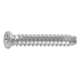 21000006 - Steel(+) Small Counter sunk Tapping Screw(2 with slot, B-1)
