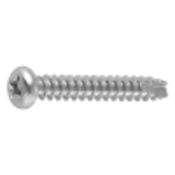 21020000 - Stainless(+) Pan head Tapping Screw(2 with slot, B-1)