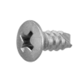 21020002 - Stainless(+) Round countersunk Tapping Screw(2 with slot, B-1)