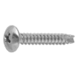 21020003 - Stainless(+) Truss Tapping Screw(2 with slot, B-1)