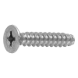 21020101 - Stainless(+) Counter sunk Tapping Screw(2-B-0)