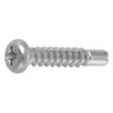 21020500 - Stainless(+) Pan head Tapping Screw(2guide, BRP)