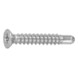 2102050H - Stainless(+) Small Counter sunk D=7 Tapping Screw(2guide, BRP)