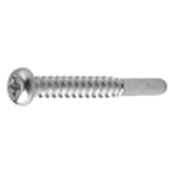 21021000 - Stainless(+) Pan head Tapping Screw(2guide, BRP G=10)