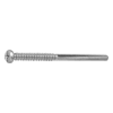 21023020 - Stainless(+-) Pan head Tapping Screw(2guide with guide, BRP, G=30)