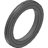 Type RB USP-Grade Model - Separable Outer Ring